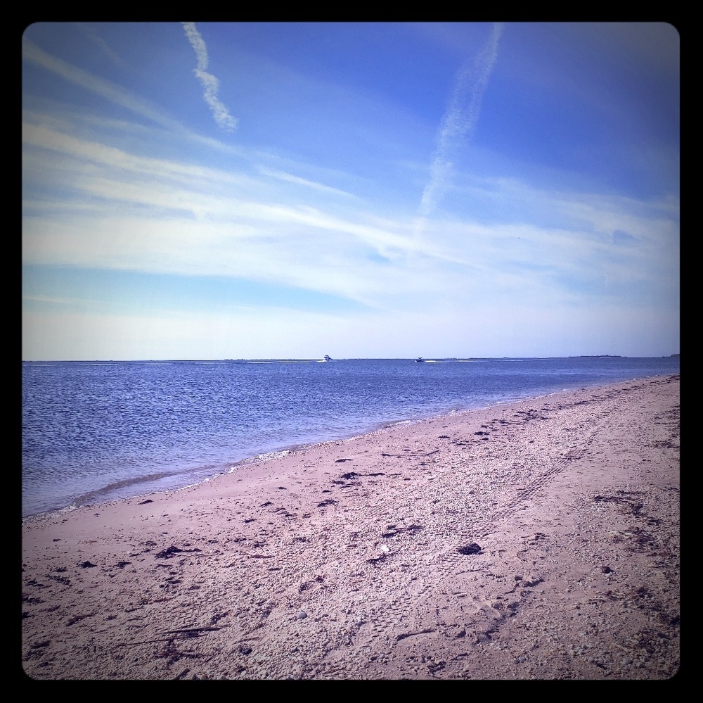 Meet your Posher, Elena